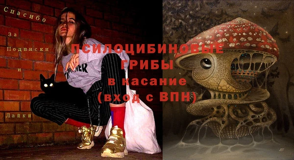 мяу мяу мука Алексин