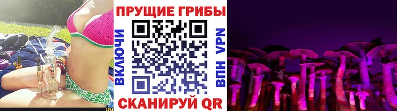 Псилоцибиновые грибы Psilocybine cubensis  Покров 